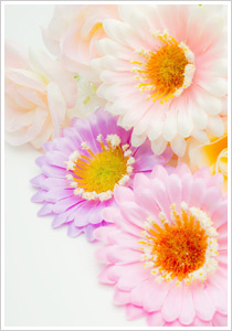 墨社会保険労務士事務所